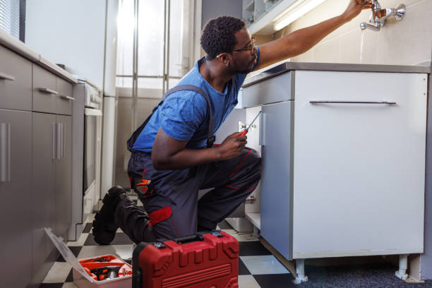Best Plumbing Services Near Me  in Citronelle, AL